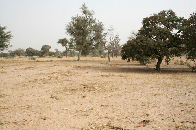 Main view of the Confluence