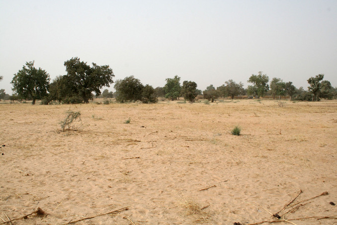 View north from the Confluence