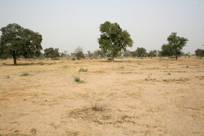 View east from the Confluence