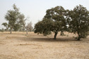 #4: View south from the Confluence