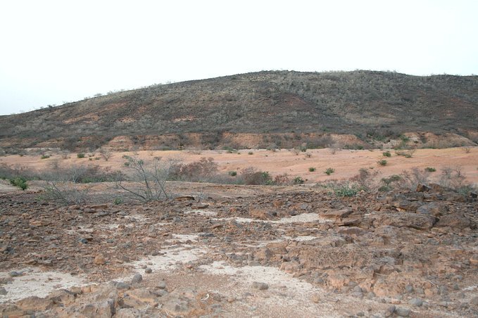 View north from the confluence