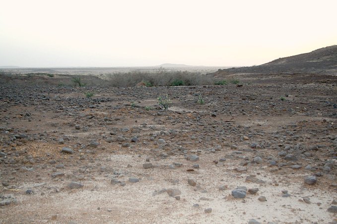 View west from the confluence