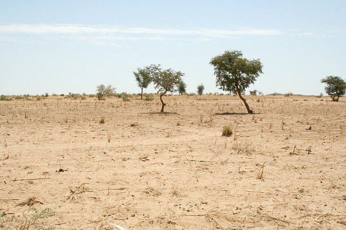 View east from the Confluence