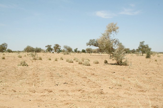 View west from the Confluence