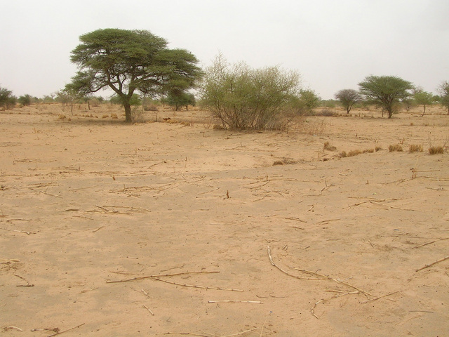 Main view of the Confluence