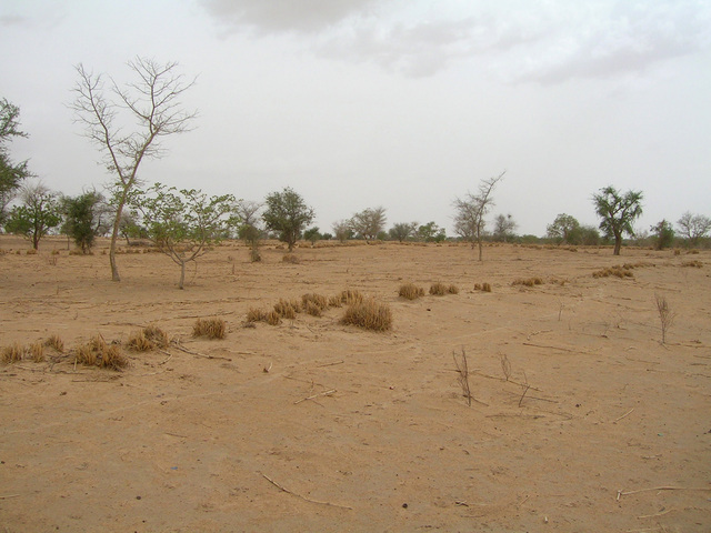 View south from the Confluence