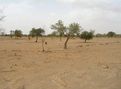 #2: View north from the Confluence