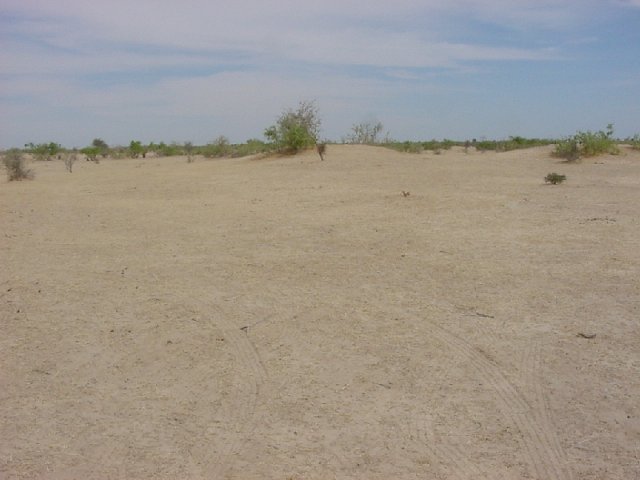 The Confluence including tire tracks where we maneuvered the vehicle to get the zeros