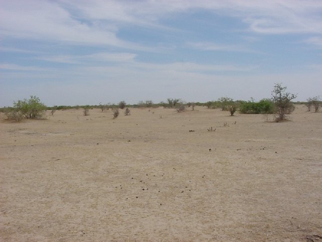 Looking east from the Confluence