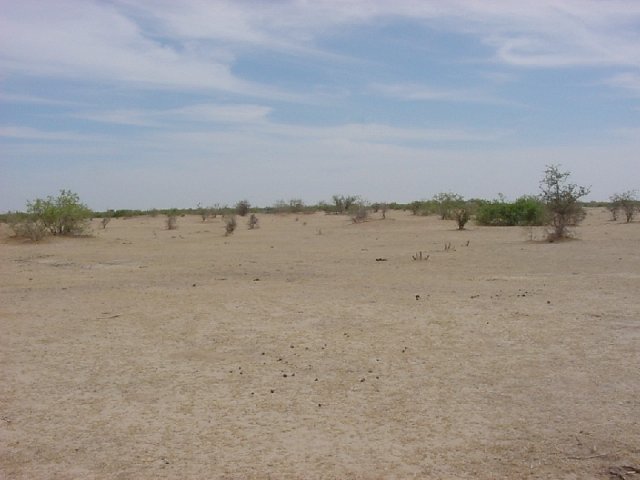 Looking east from the Confluence