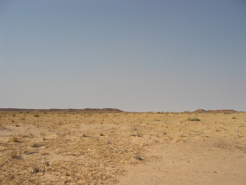 View to the West