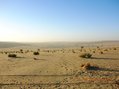 #8: At Tigrimi, looking south towards the Confluence