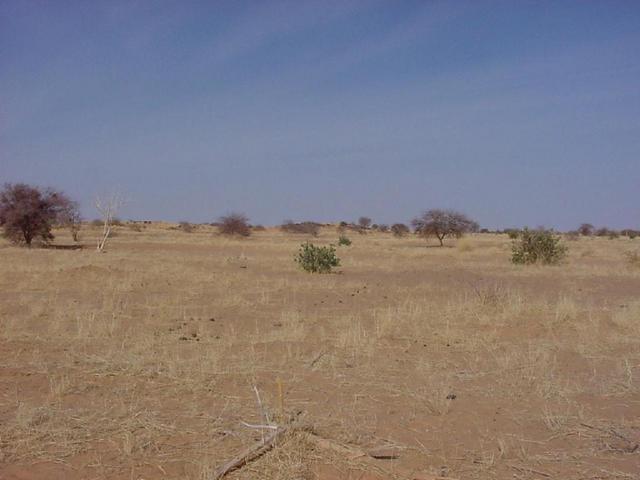 Looking west from the Confluence