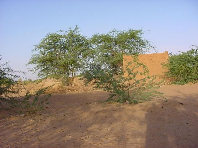 Looking west into the nomad camp