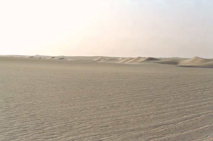 View to the west. Small dunes interrupt the flatness.