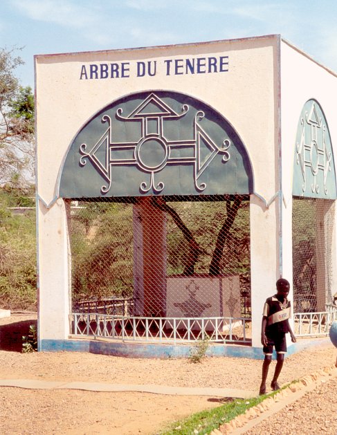 Branches of Arbre du Ténéré at the National Museum.