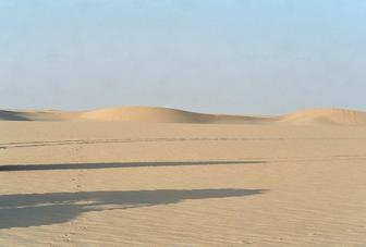 #1: View to the north. Small dunes in the background.