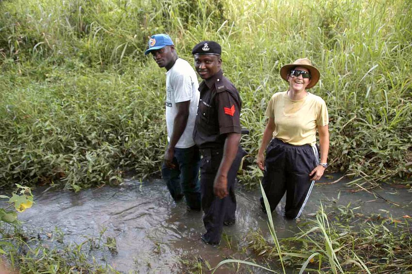 Stream crossing