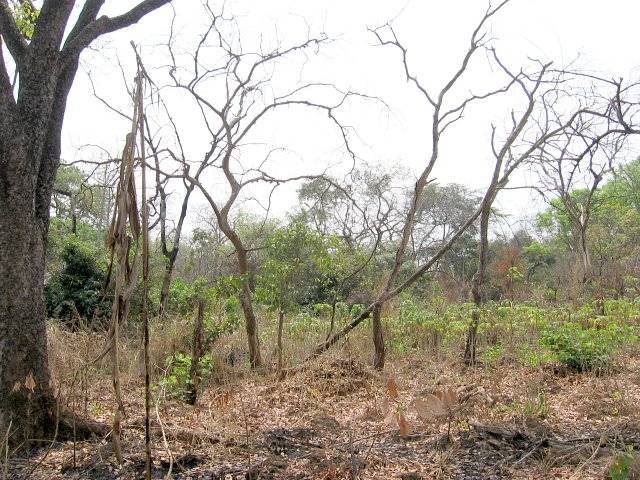 General view
