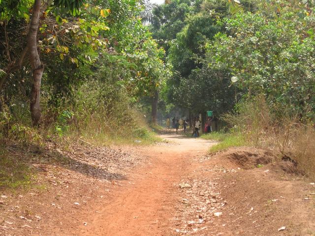 Pathway to the Confluence