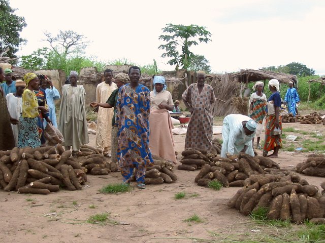 Yams market at Soro