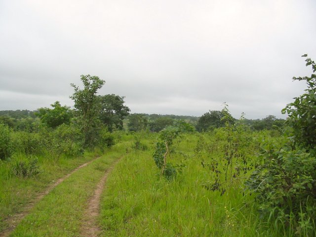 Road leading to the Confluence