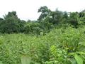 #4: View South
