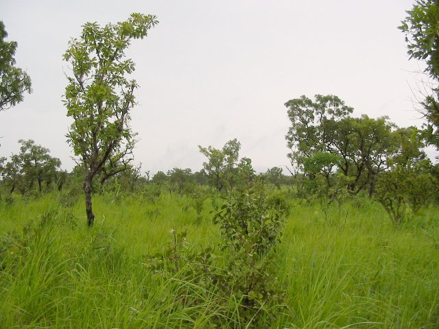 South