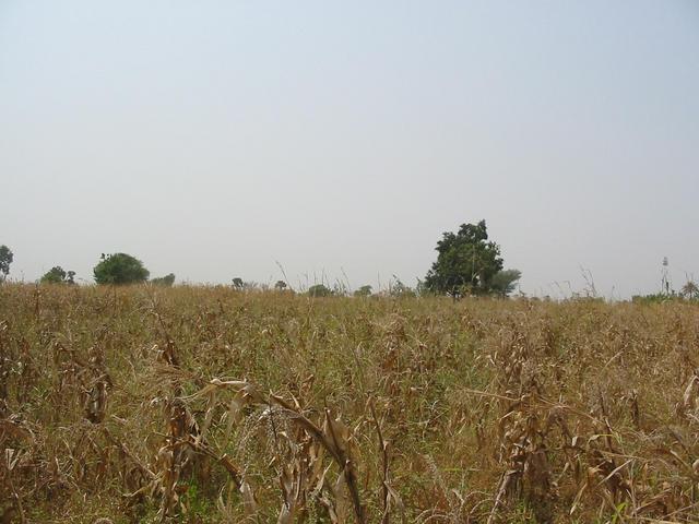West