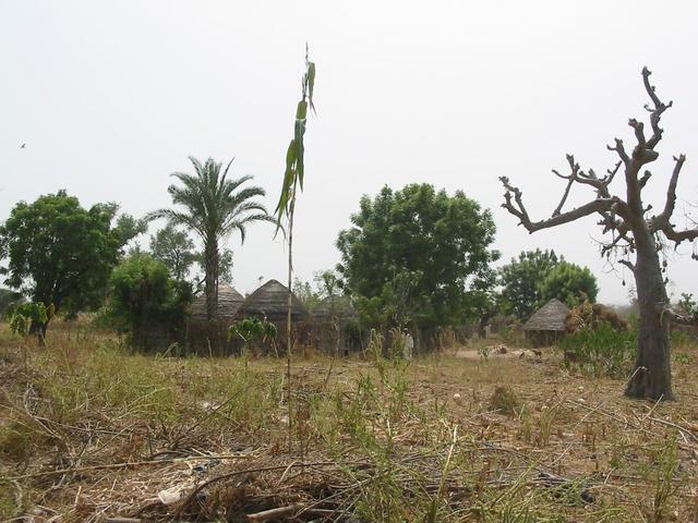 Village close to the Confluence