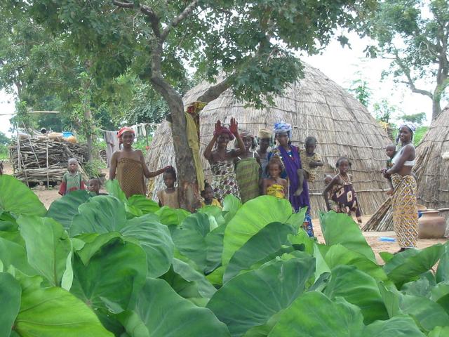 Fulani kraal