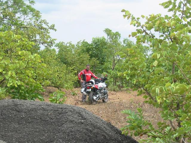 Helmut near the Confluence