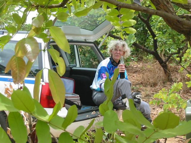 Babs near the Confluence