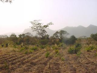 #1: Looking east over the confluence point towards the Shere Hills