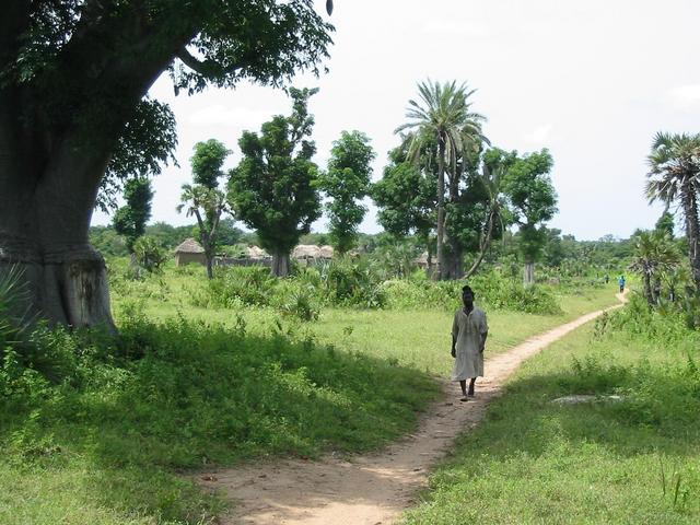 Path leading to the Confluence