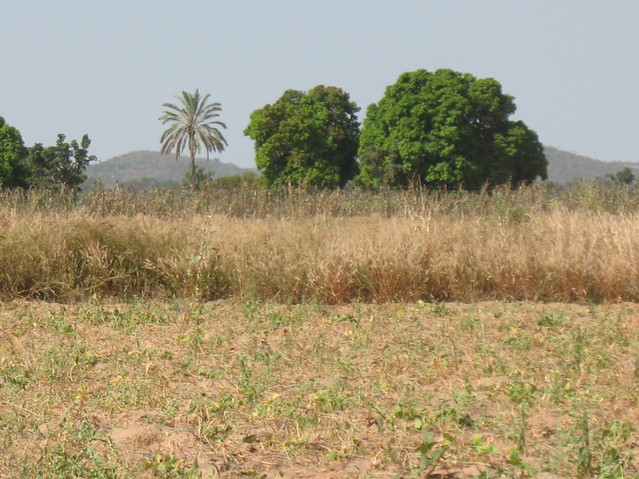 General view