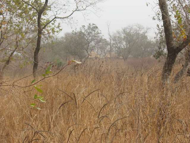 General view