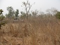 #4: South