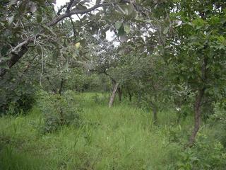 #1: General view