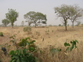 #4: South