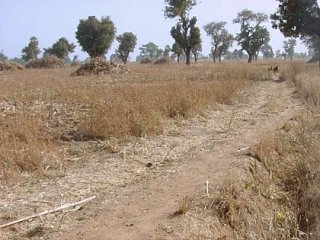 #1: A view of the Confluence, just ahead of the camera, looking north