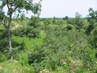 #1: General View