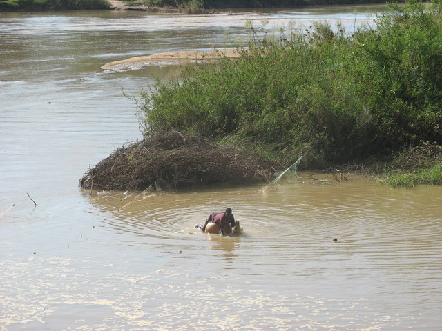 Fisherman