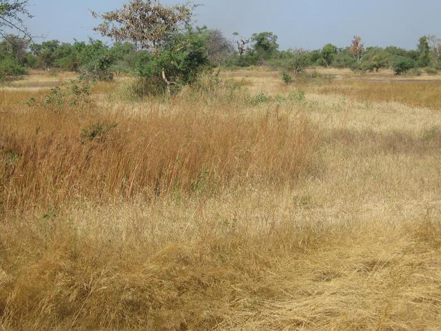 Near the Confluence