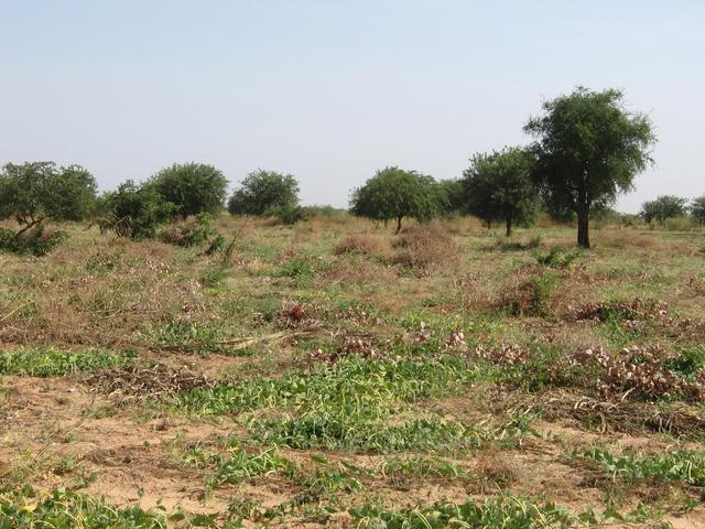 East