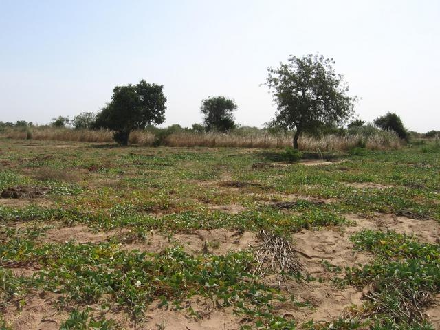 South