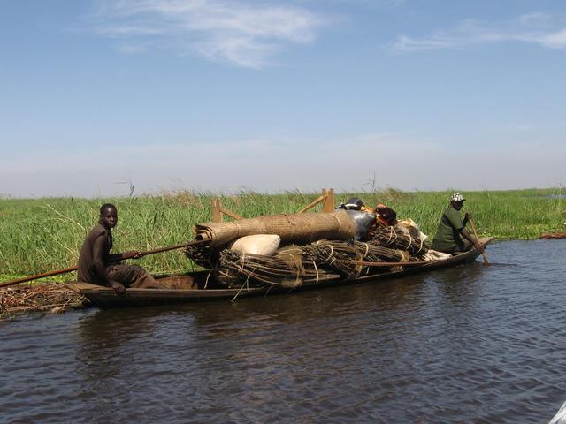 People moving around the lake