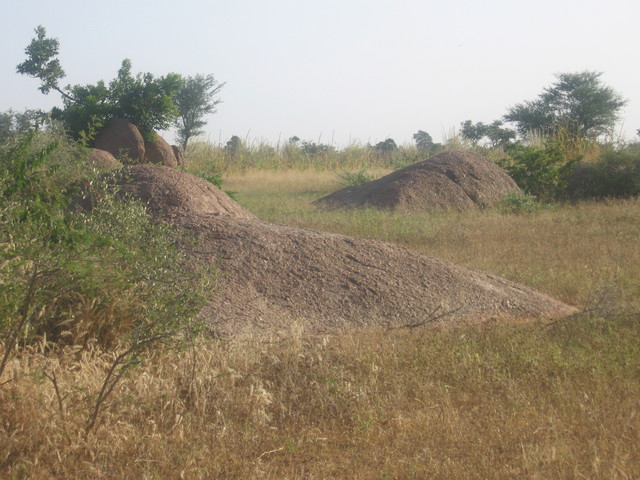 Granite blocks