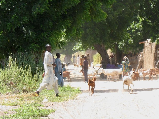 Passage through a village