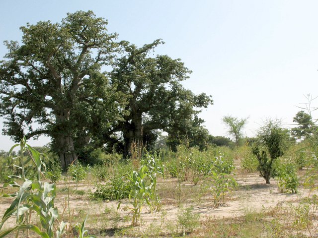 General view